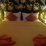 Casa Regala Ear *